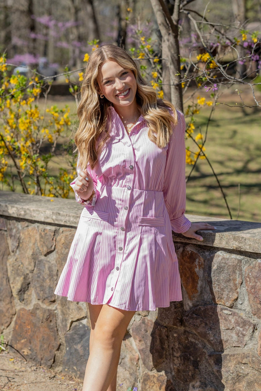 Business Button Up Dress