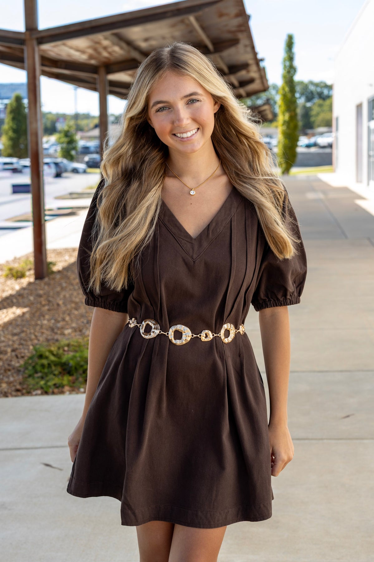 Puff Sleeve Mini Dress
