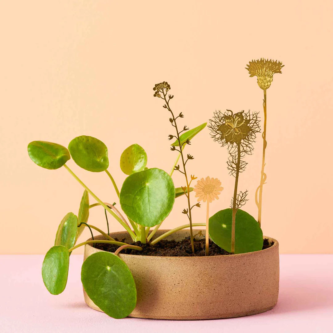 WILDFLOWER PLANT ORNAMENT