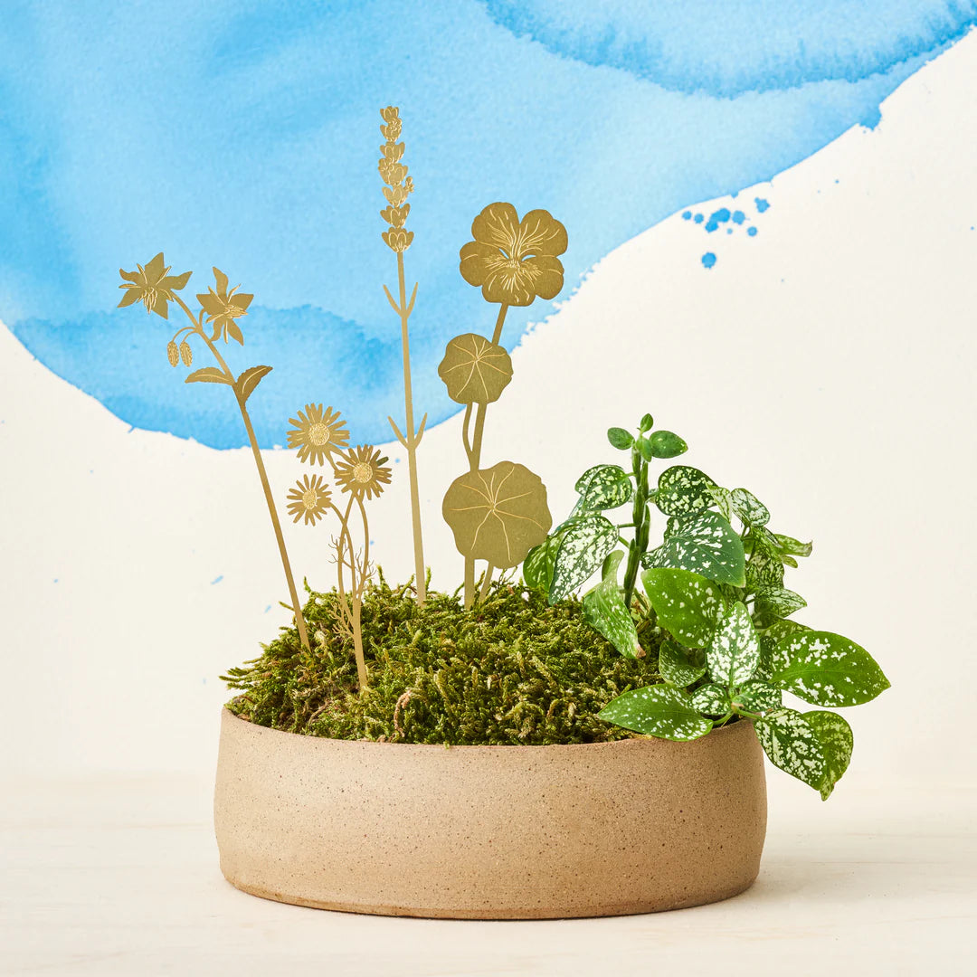 BLOOM HERBS PLANT ORNAMENT