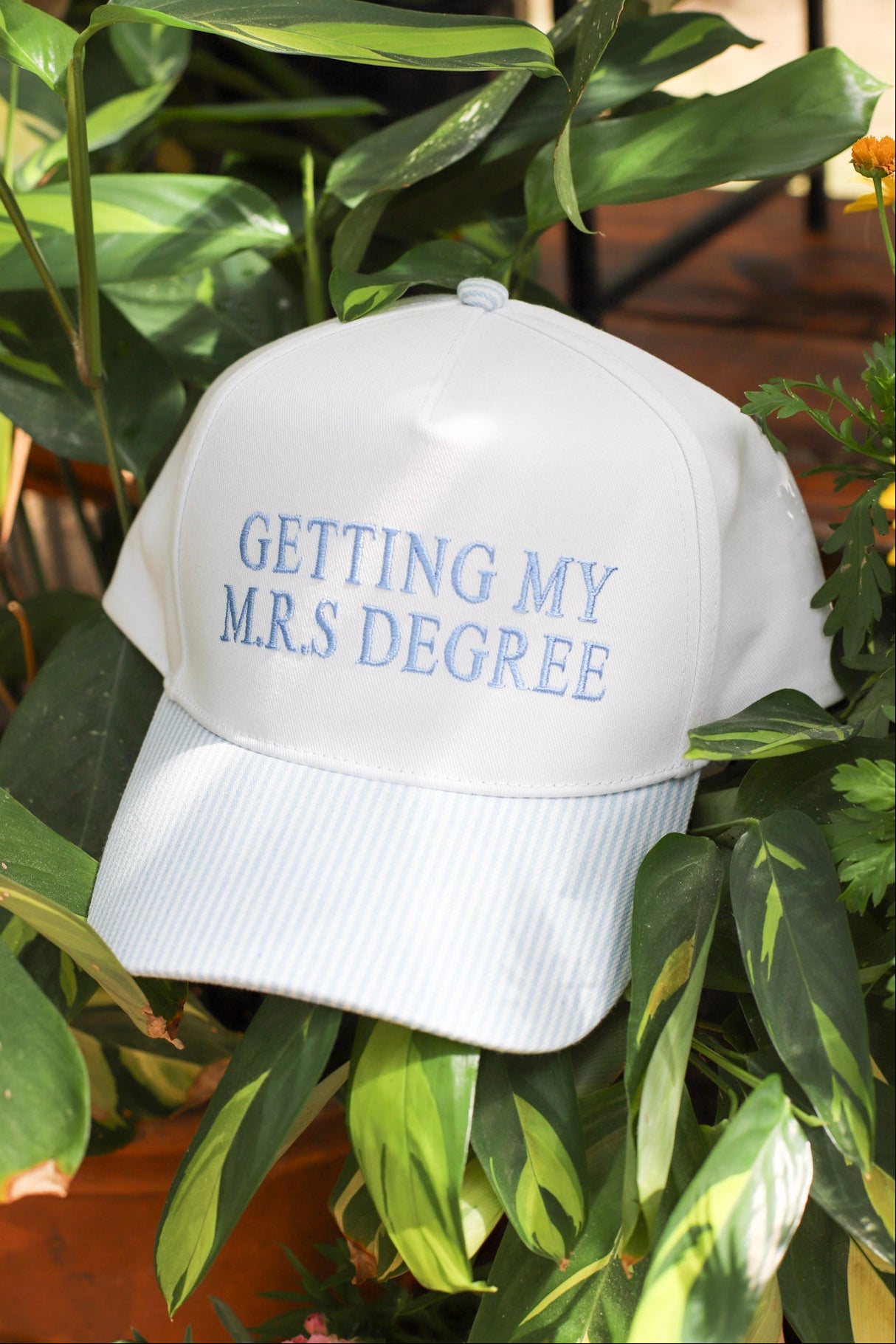Getting My M.R.S. Degree Trucker