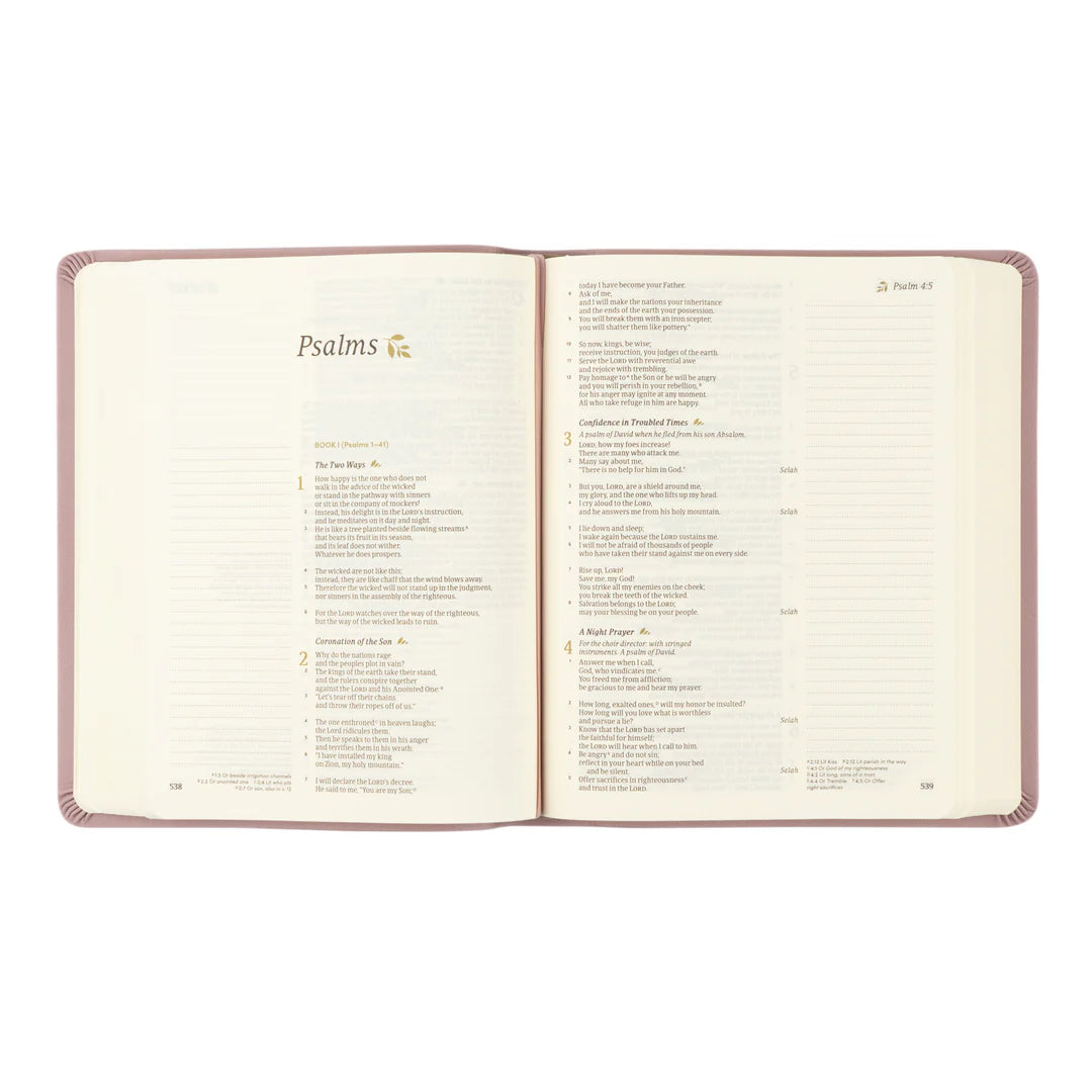 Mauves 5 Year Prayer Journal