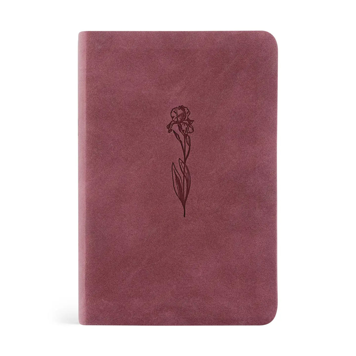 Helena Compact Bible NLT