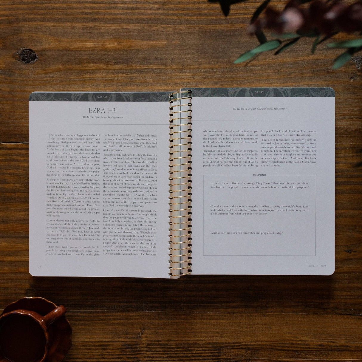 A Year in the Bible | 365 Days of Discovering the Beauty of Jesus from Genesis to Revelation | Volume 2