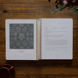 A Year in the Bible | 365 Days of Discovering the Beauty of Jesus from Genesis to Revelation | Volume 2