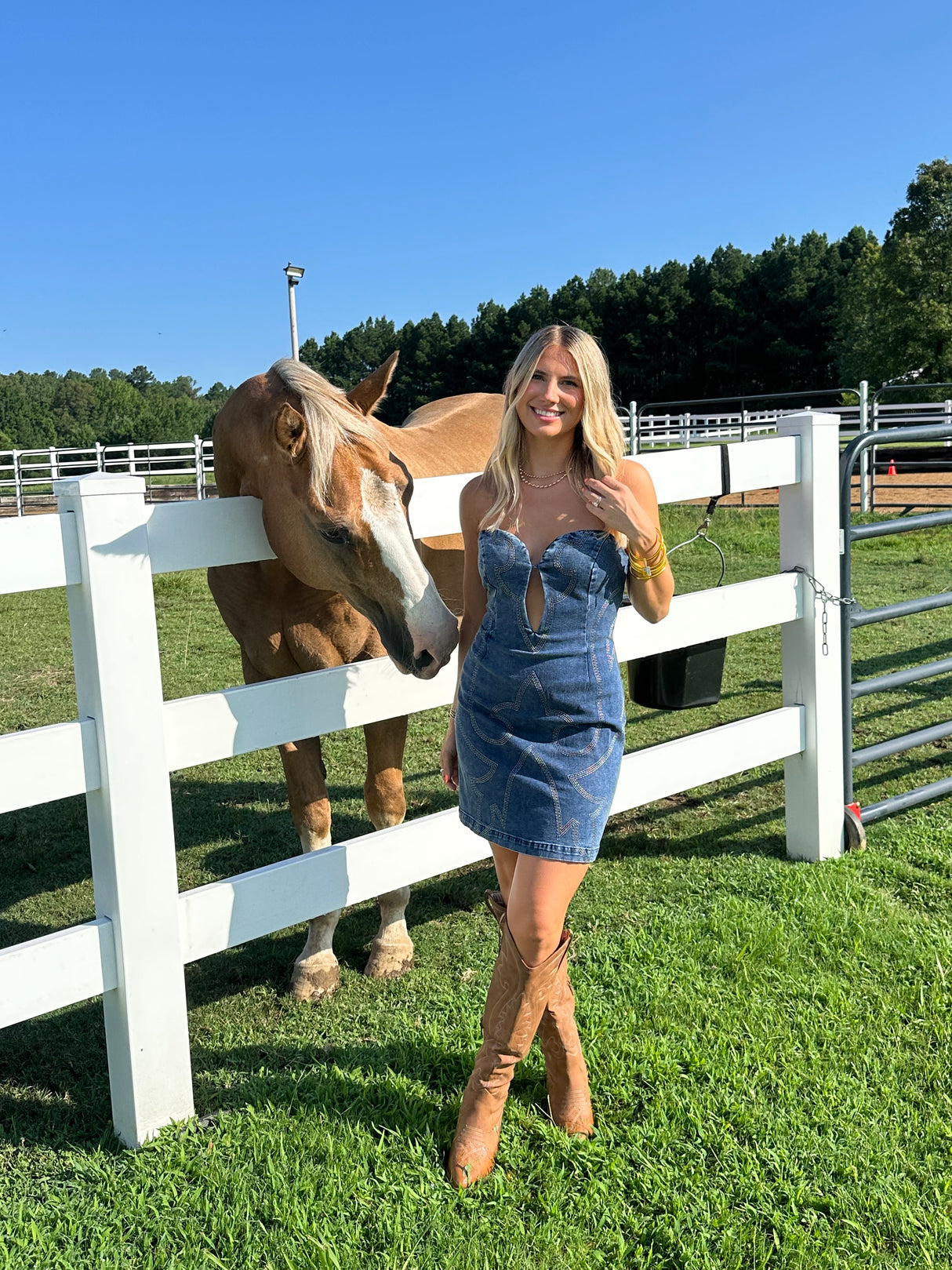 SOUTH SWEETHEART DENIM MINI DRESS