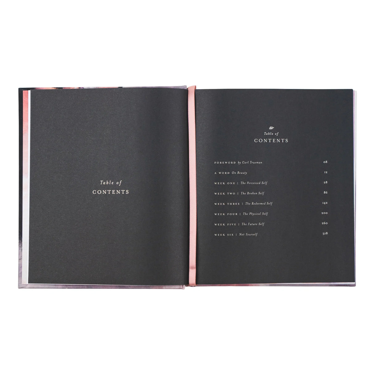 BEAUTY NOT BEHELD BOOK