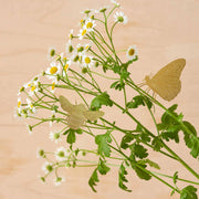 BUTTERFLY HANG PLANT ORNAMENT