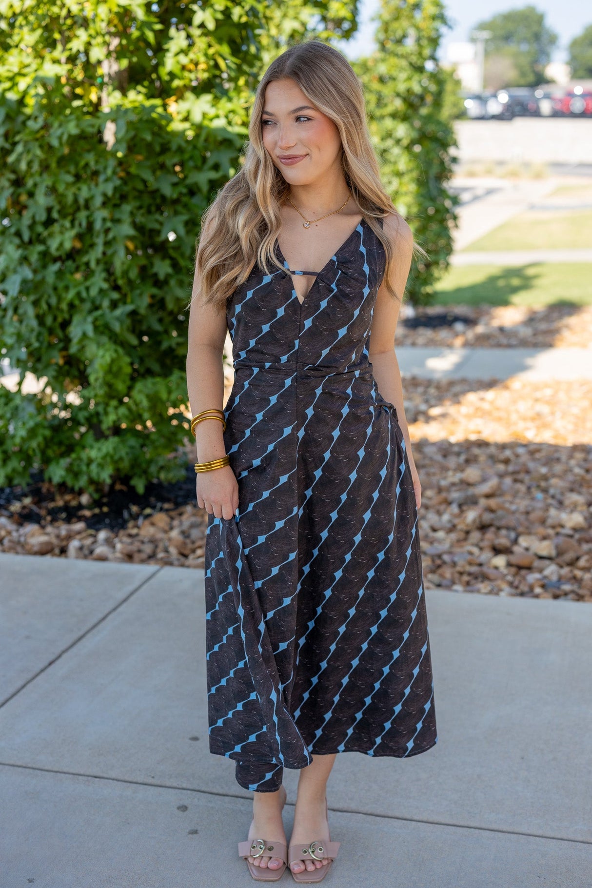 Printed Sleeveless V-Neck Midi Dress