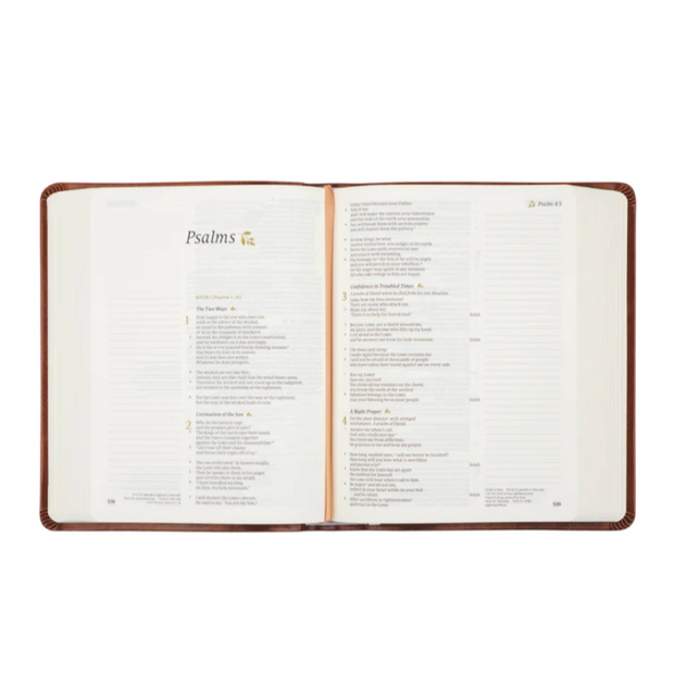 VIENNA NOTETAKING BIBLE