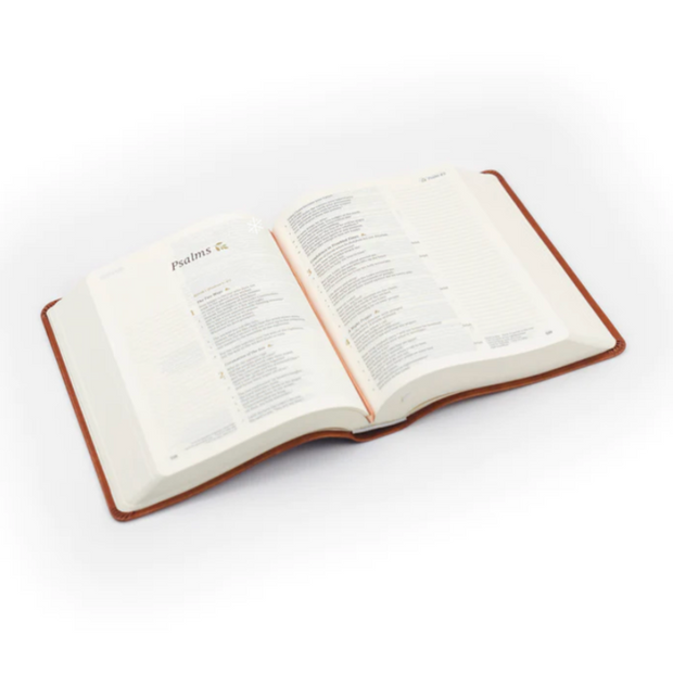 VIENNA NOTETAKING BIBLE