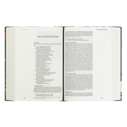 HOLLIS ESV LARGE PRINT BIBLE