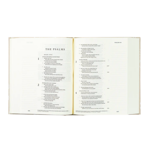 NLT CORDOVA NOTETAKING BIBLE