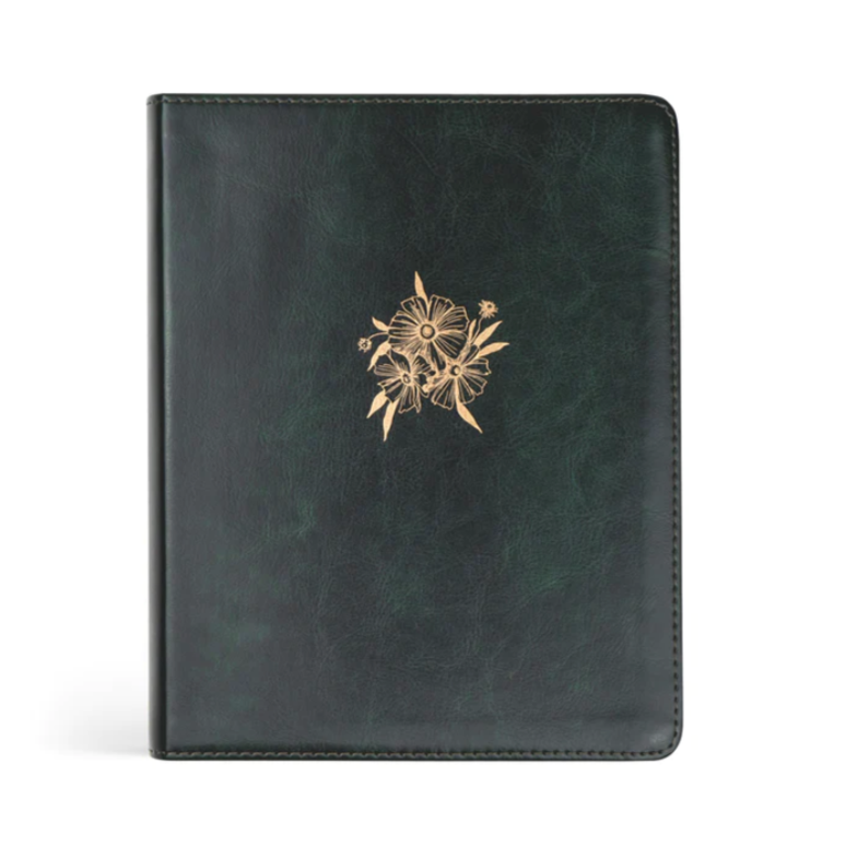 ESV HYDE  JOUNAL BIBLE
