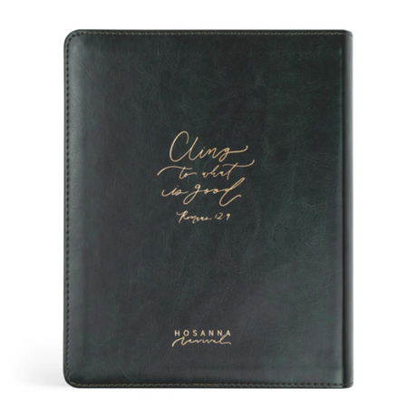 ESV HYDE  JOUNAL BIBLE