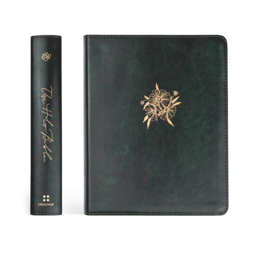 ESV HYDE  JOUNAL BIBLE
