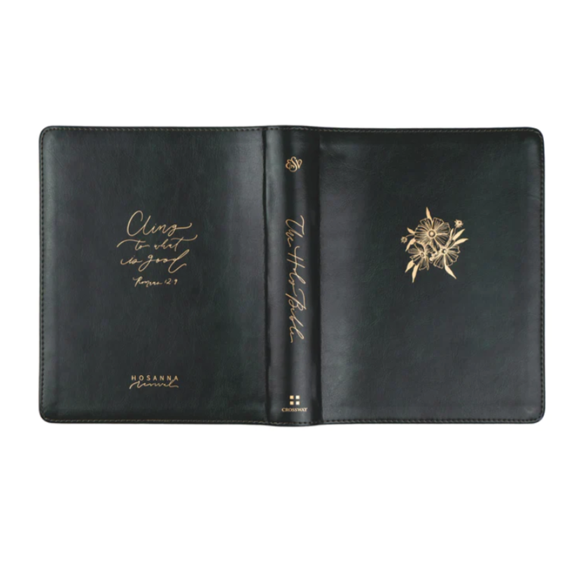 ESV HYDE  JOUNAL BIBLE