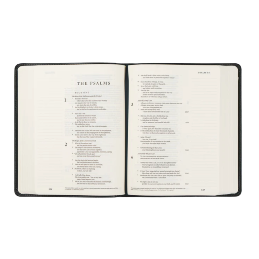ESV HYDE  JOUNAL BIBLE