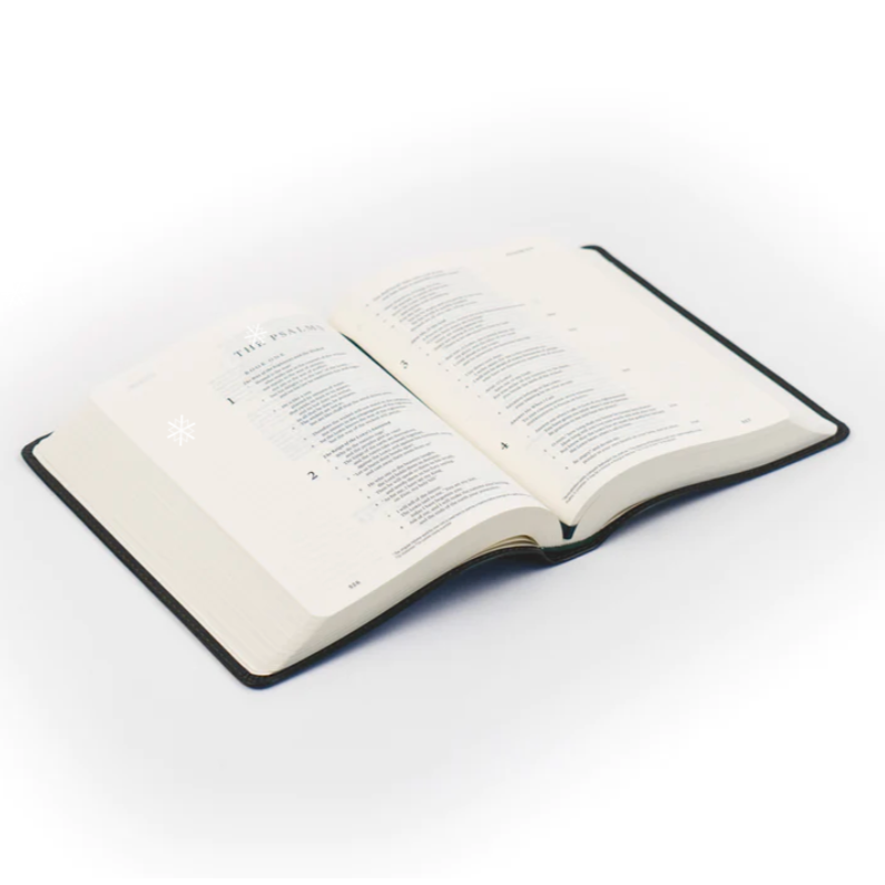 ESV HYDE  JOUNAL BIBLE