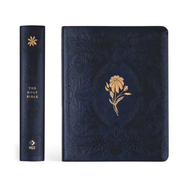 VERSAILLES NLT NOTETAKING BIBLE