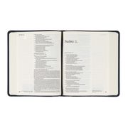 VERSAILLES NLT NOTETAKING BIBLE