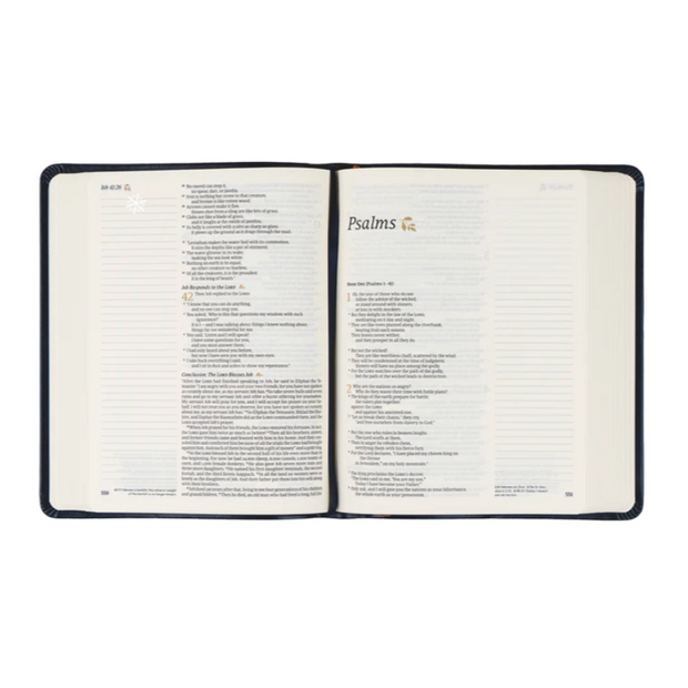 VERSAILLES NLT NOTETAKING BIBLE