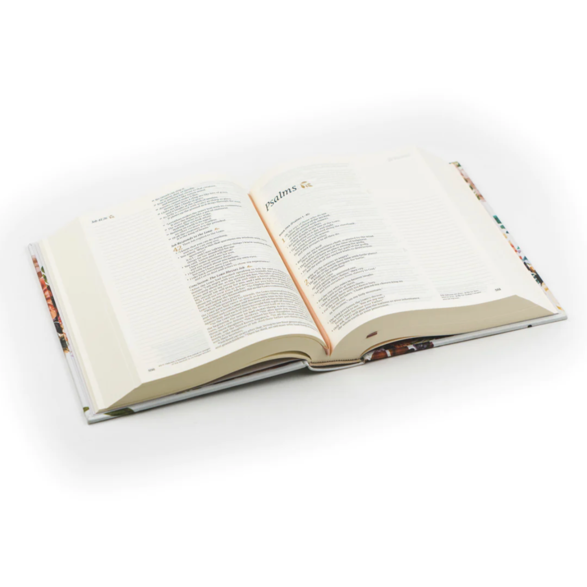 NLT MADRID NOTETAKING BIBLE