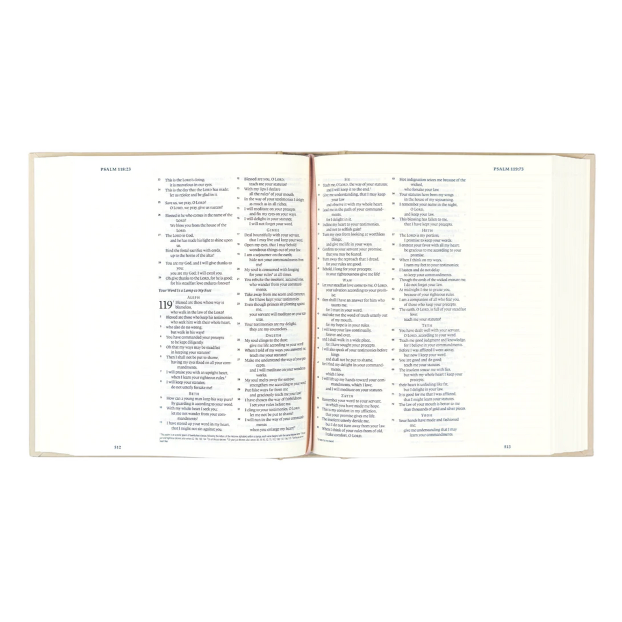 ESV SALAMANCA BIBLE