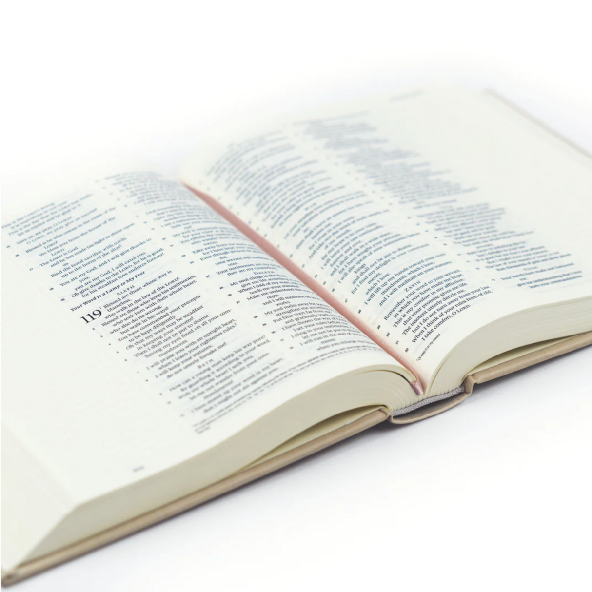ESV SALAMANCA BIBLE