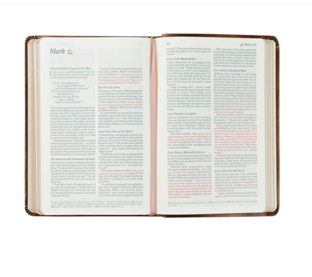 NLT AURORA COMPACT BIBLE