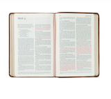 NLT AURORA COMPACT BIBLE