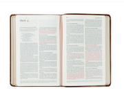 AURORA COMPACT BIBLE