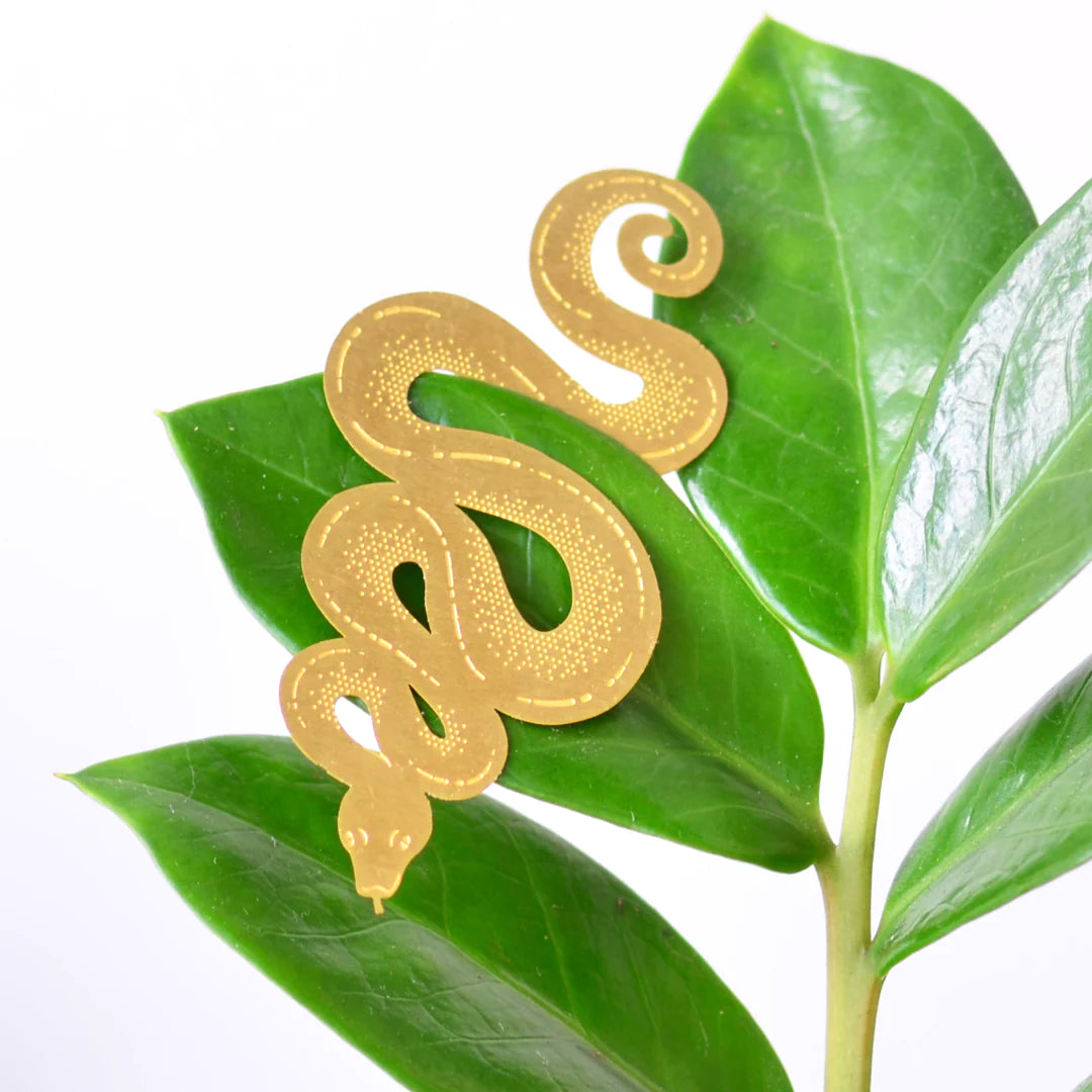 SNAKE HANG PLANT ORNAMENT